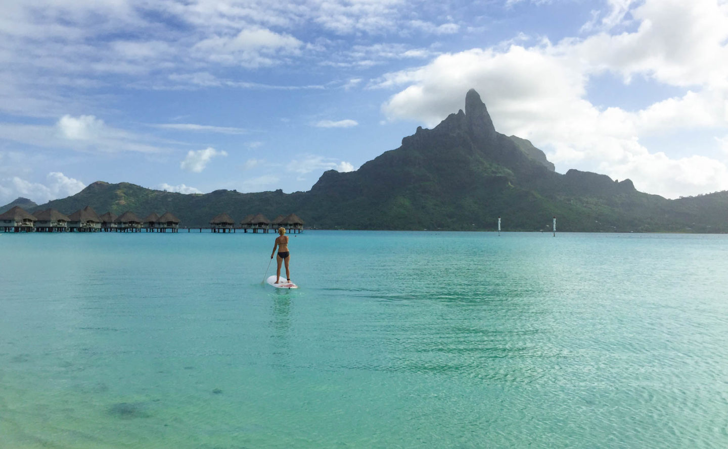 paddle board