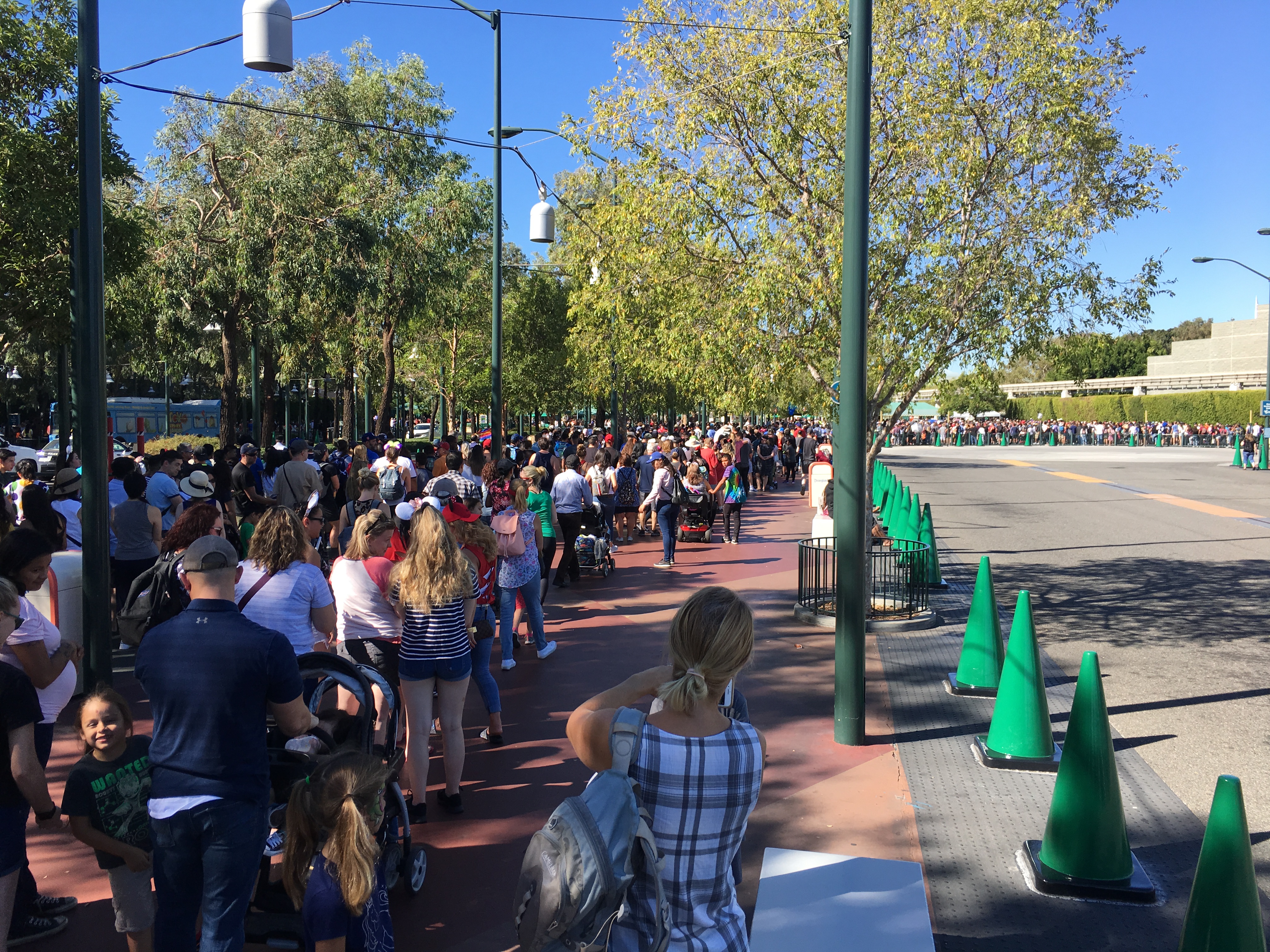 Crazy Disney Line