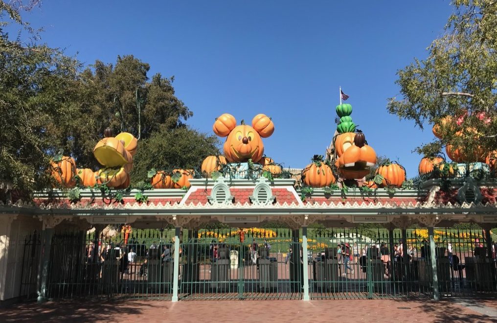 Disneyland Entry