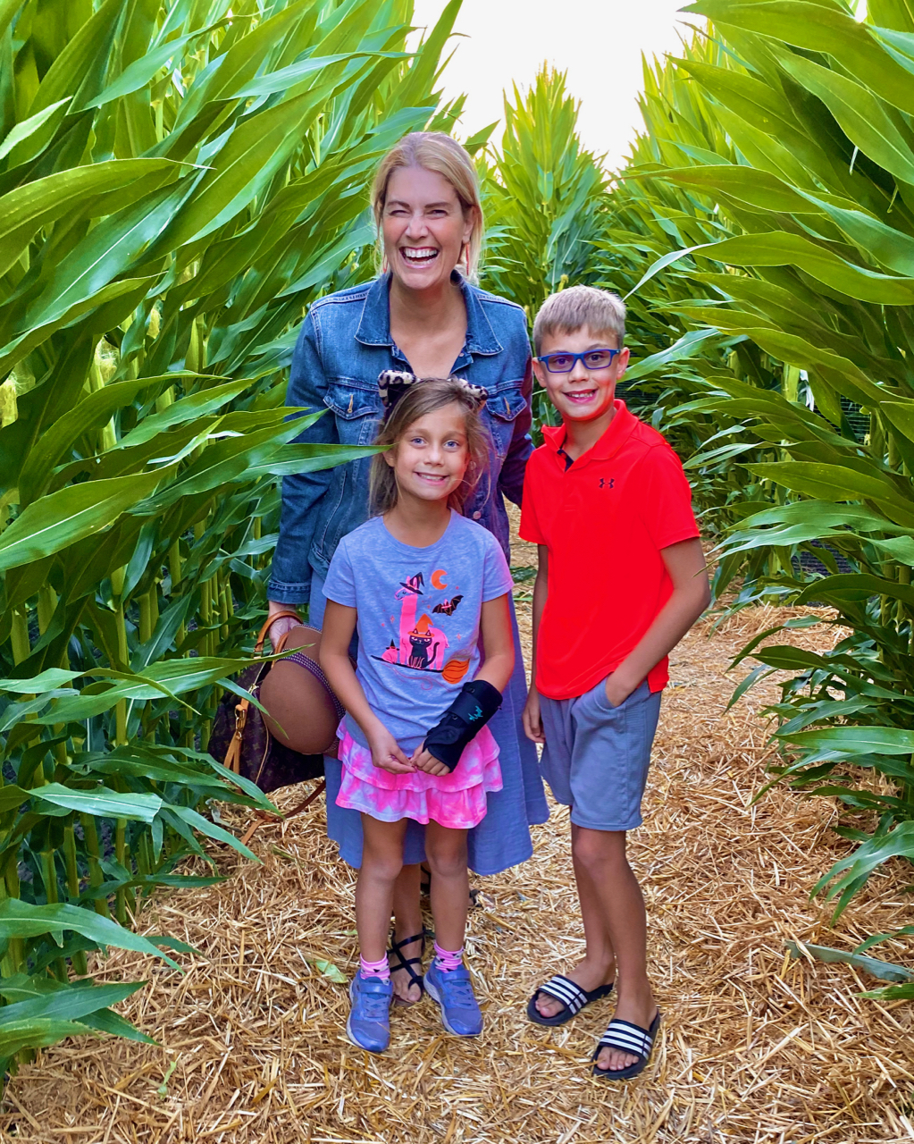 Corn Maze