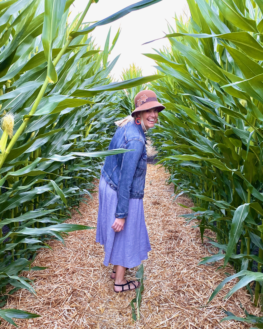 Corn Maze