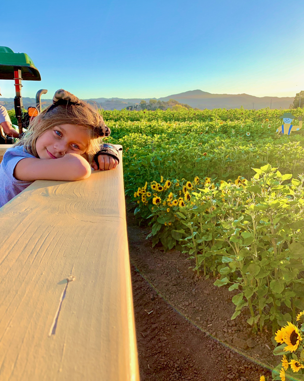 Hayride