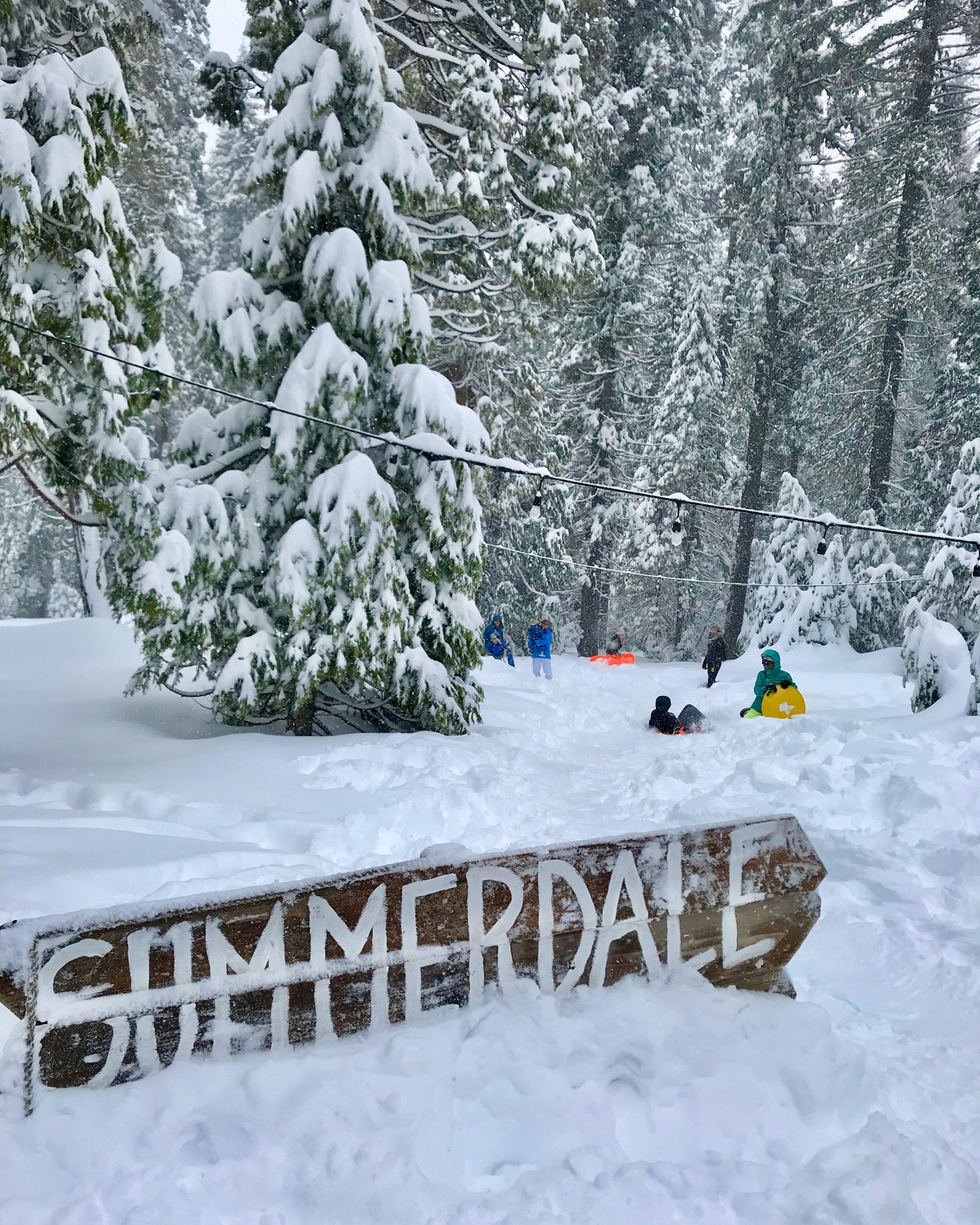 sledding