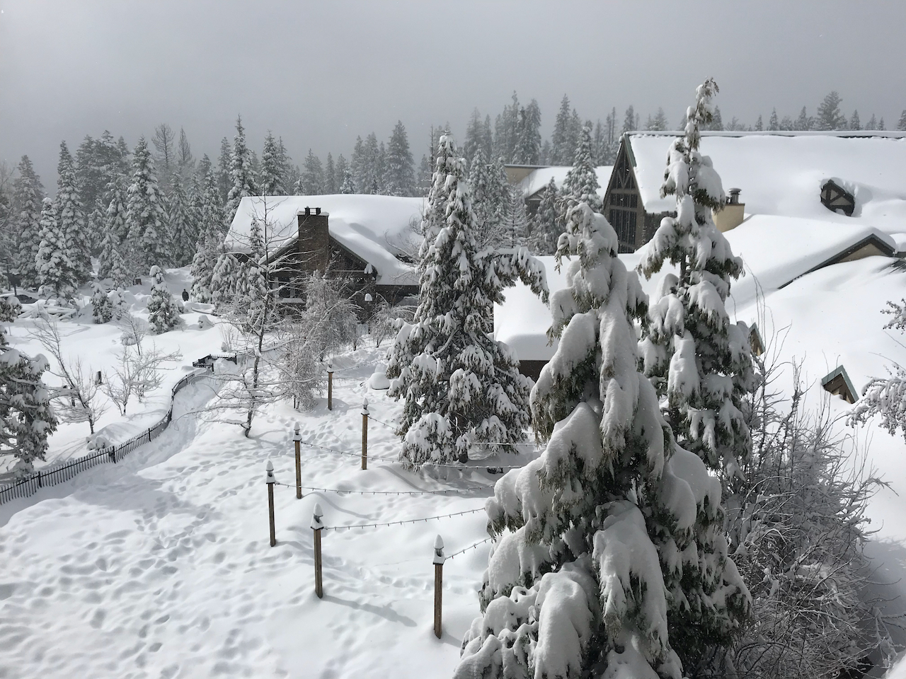 Tenaya Lodge