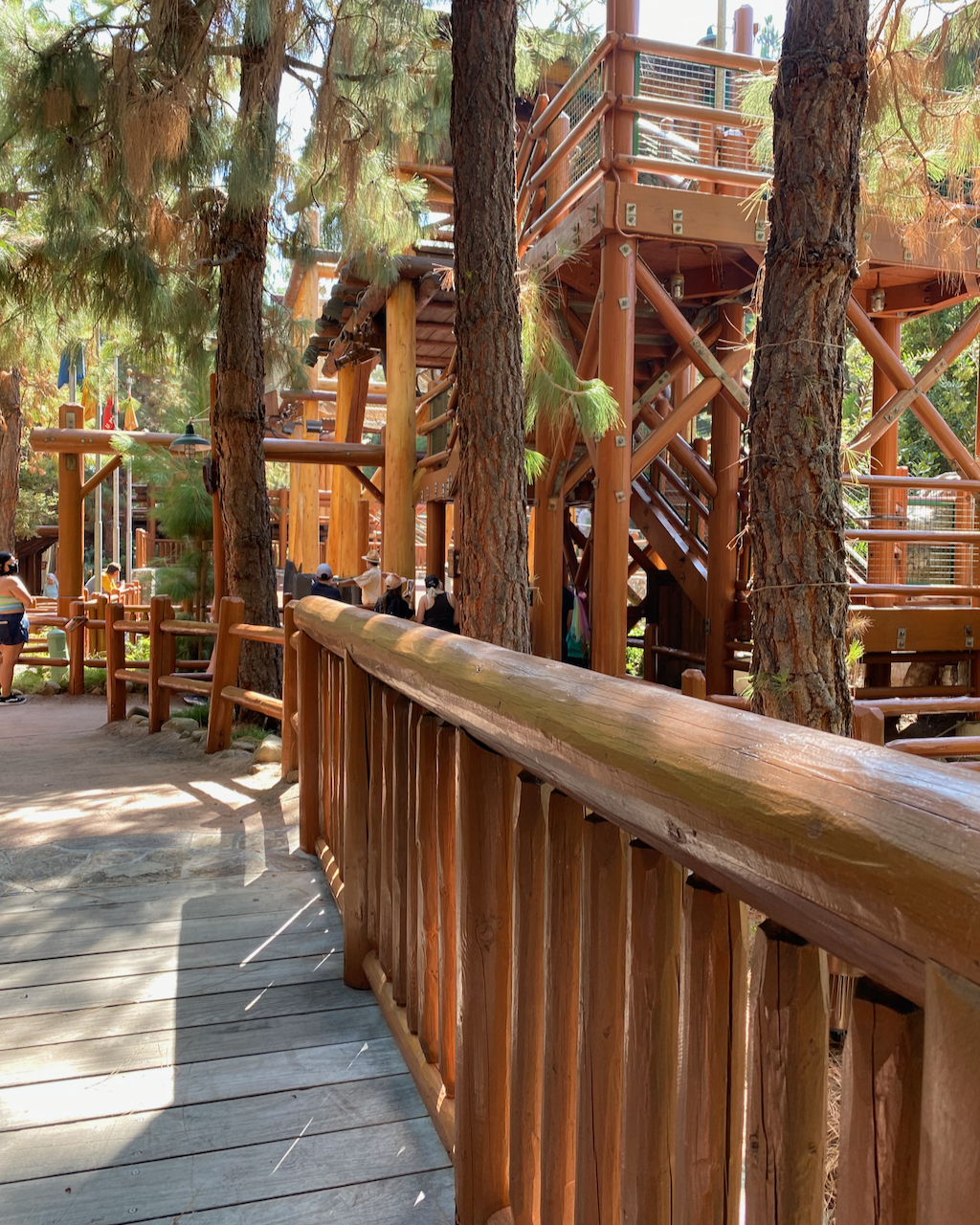 Redwood Creek Challenge