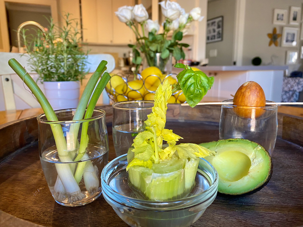 indoor gardening