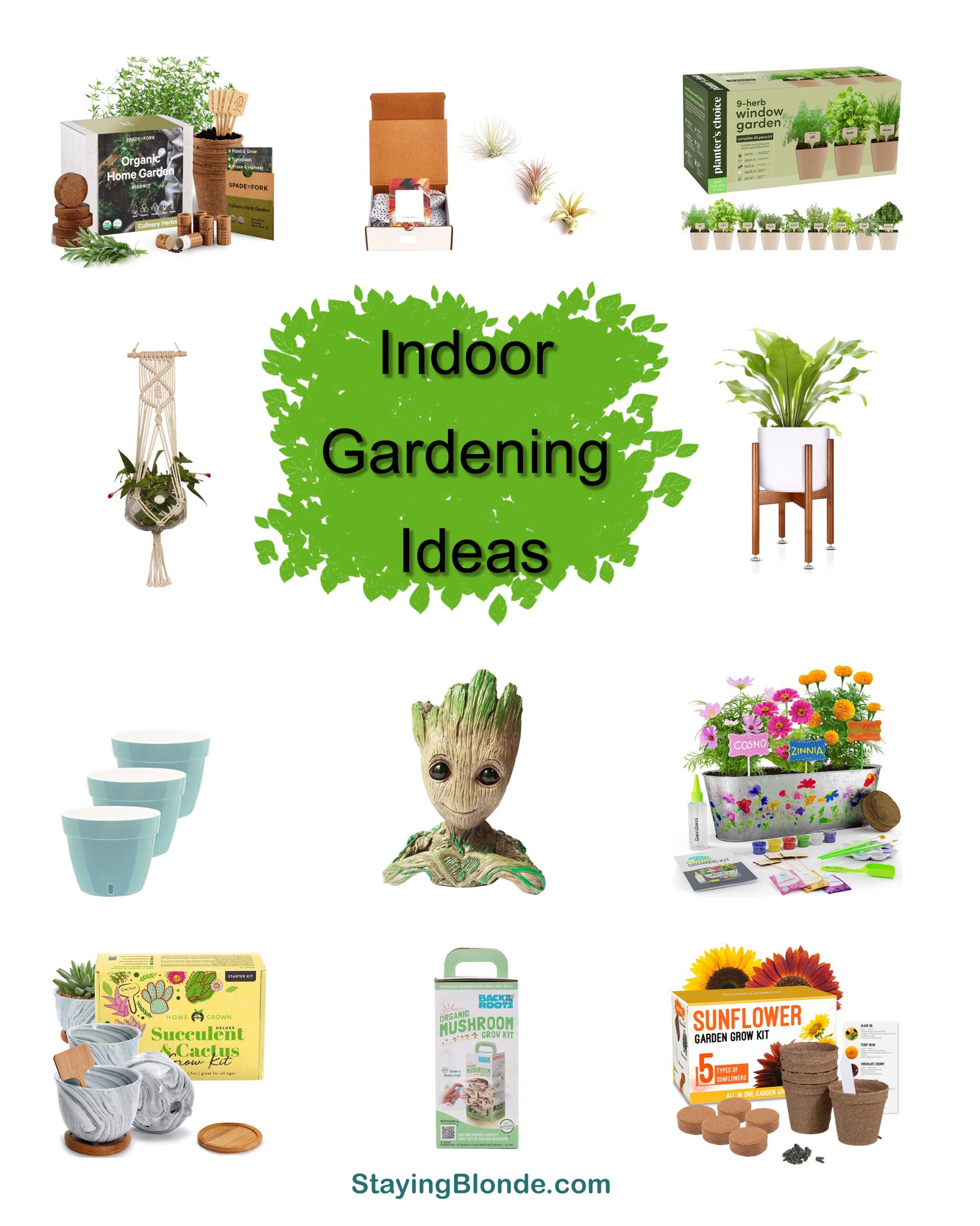 indoor gardening ideas