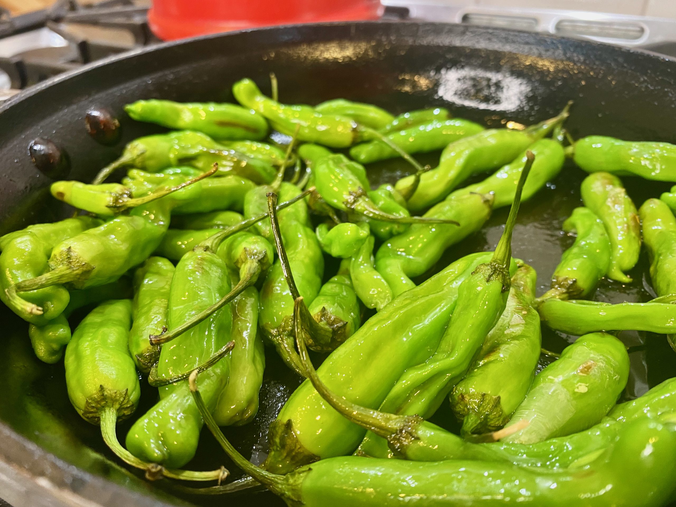 Shishito peppers