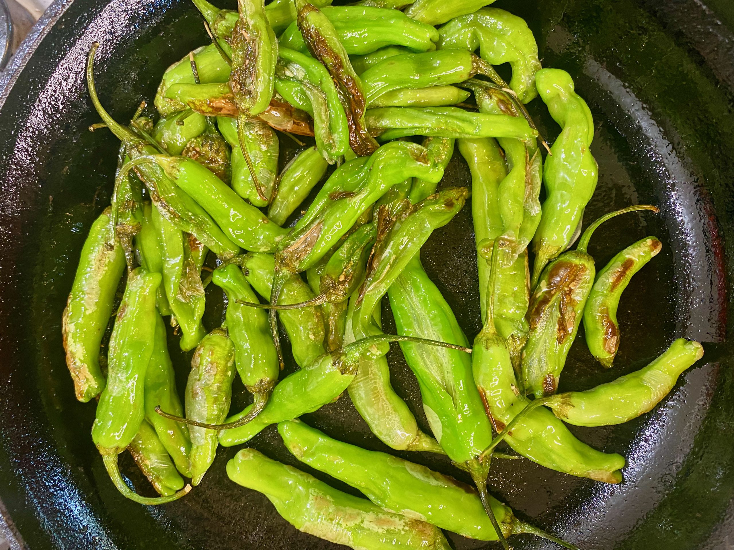 Shishito Peppers