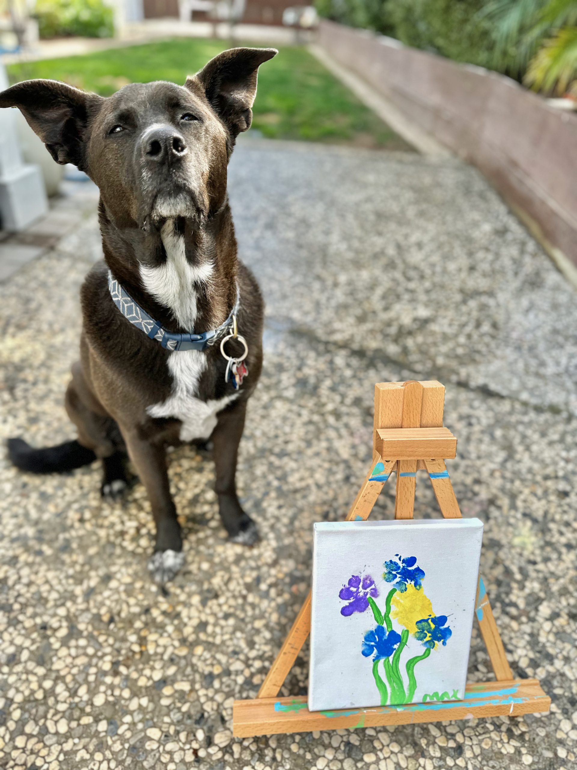 paw print art