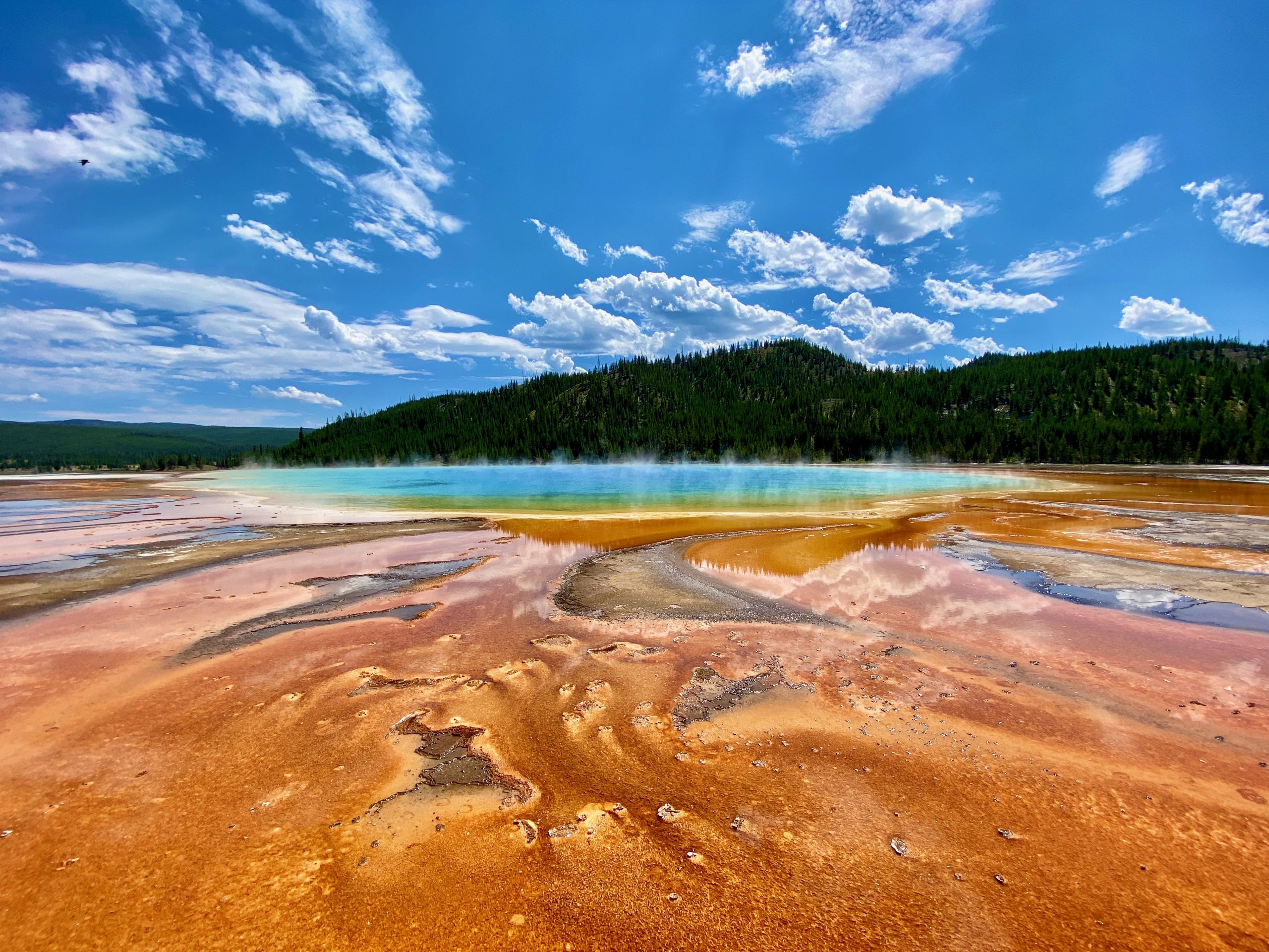 Yellowstone