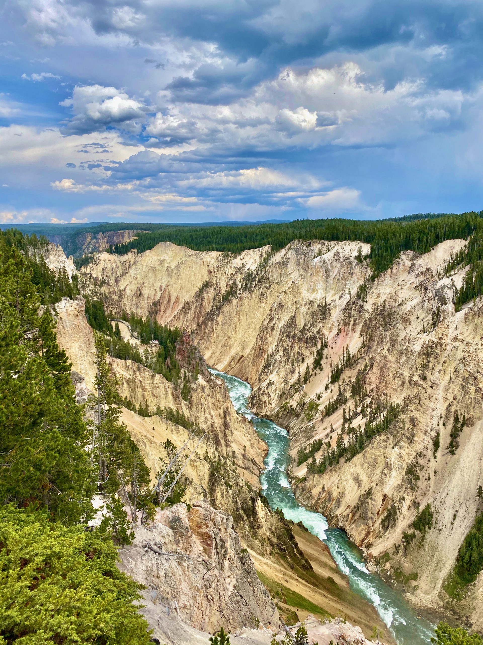 Yellowstone