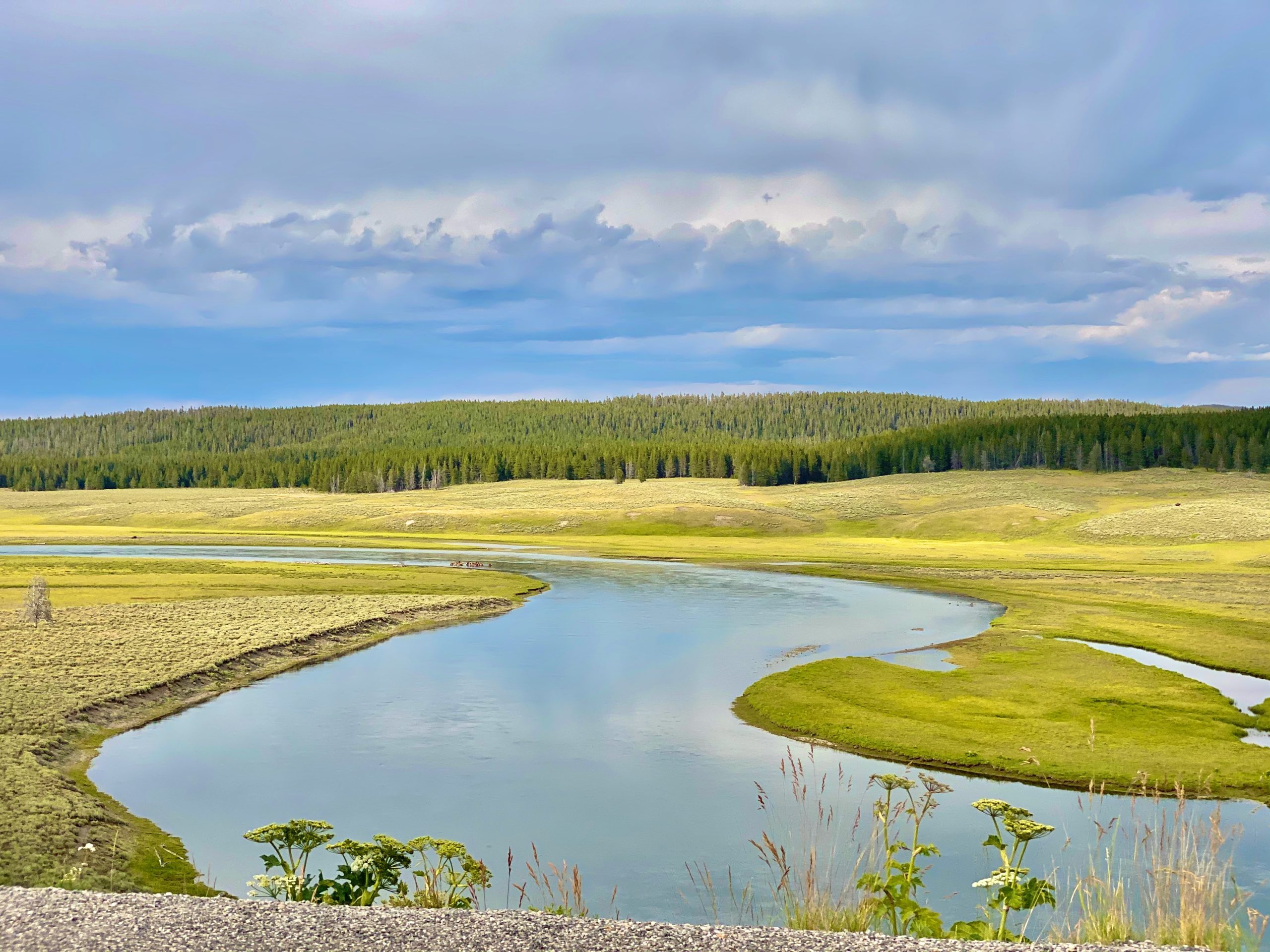 Yellowstone