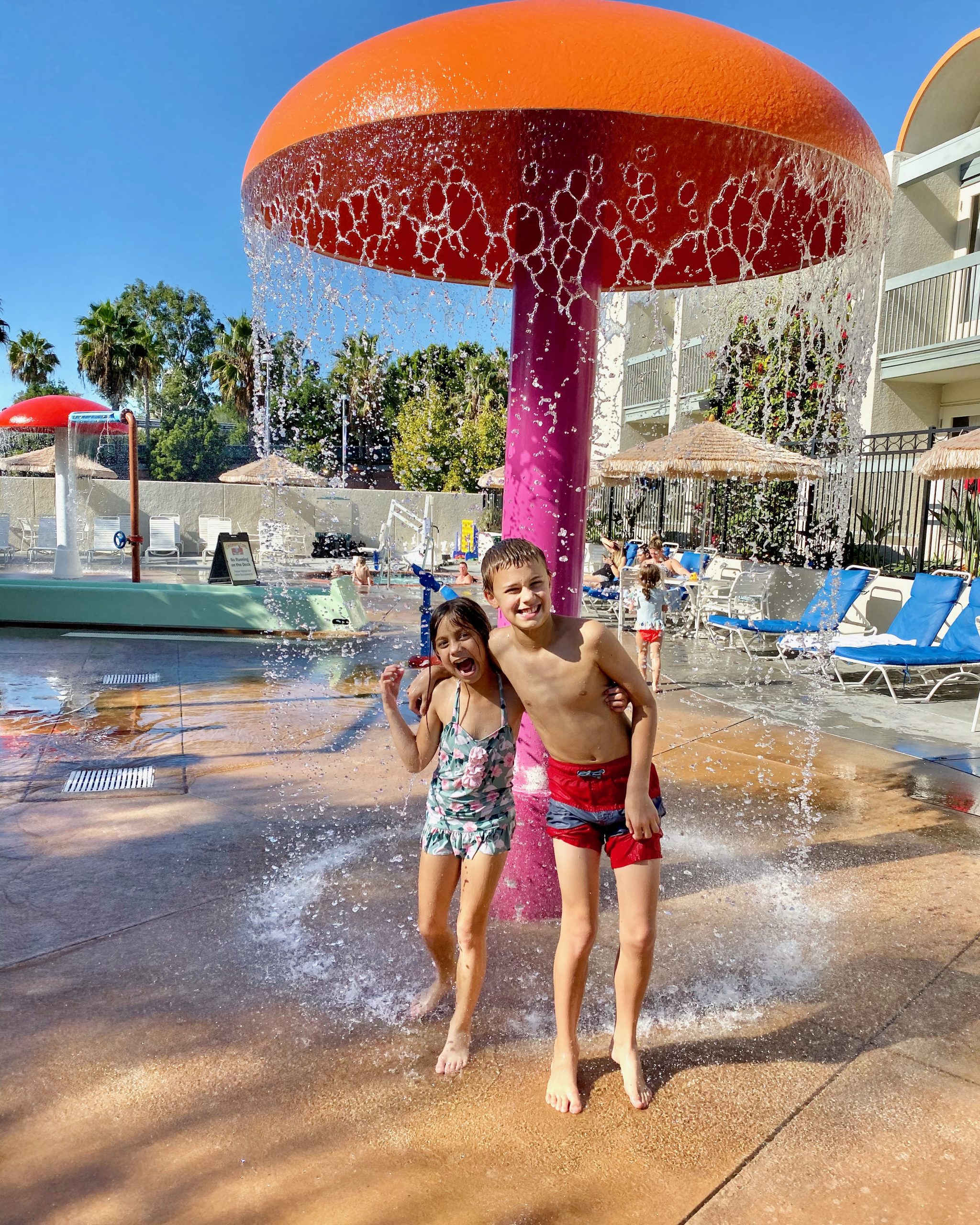 Hotels Near Disneyland  Howard Johnson Anaheim Hotel