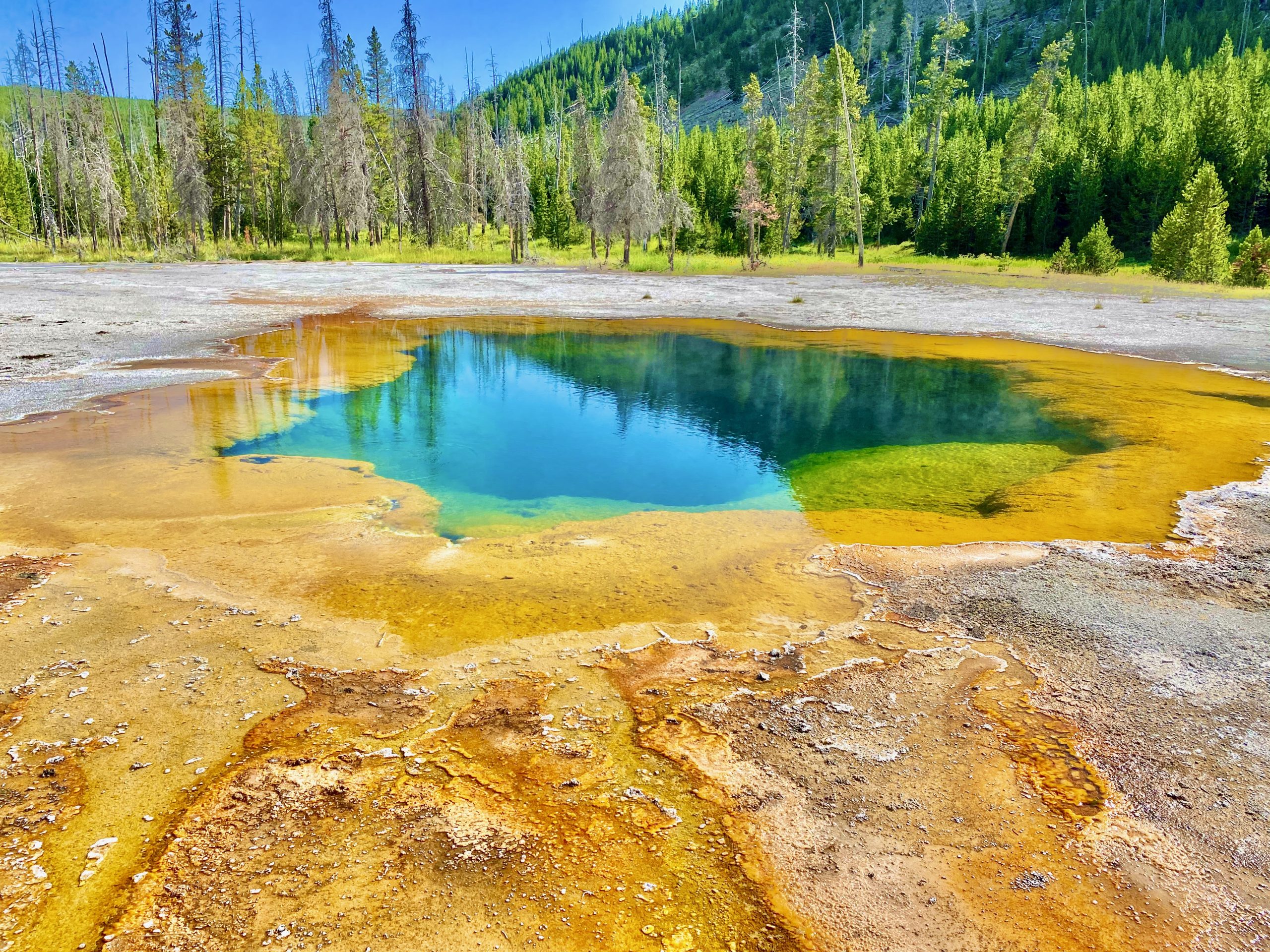 yellowstone