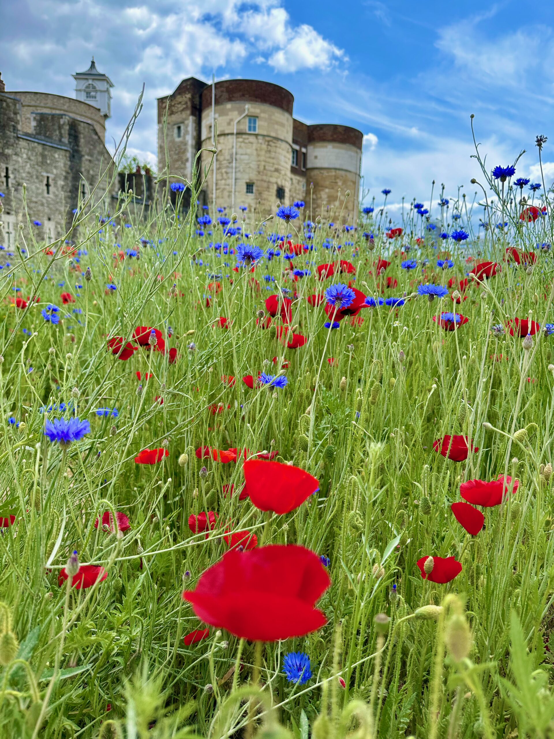 tower of london